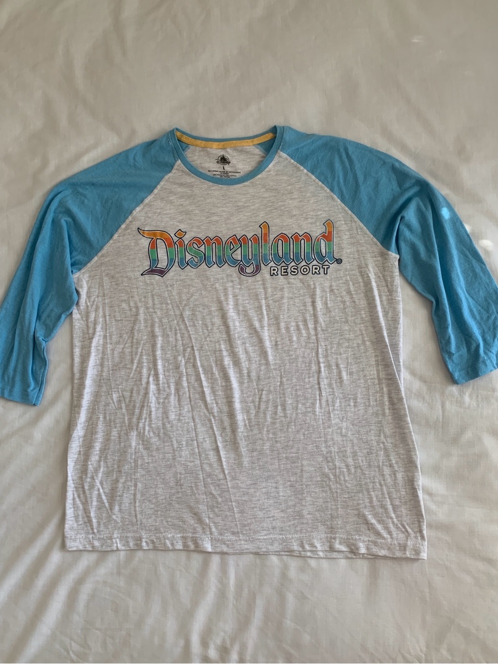 Disneyland Resort Retro Raglan Baseball Graphic T-Shirt Gray Blue Large L
